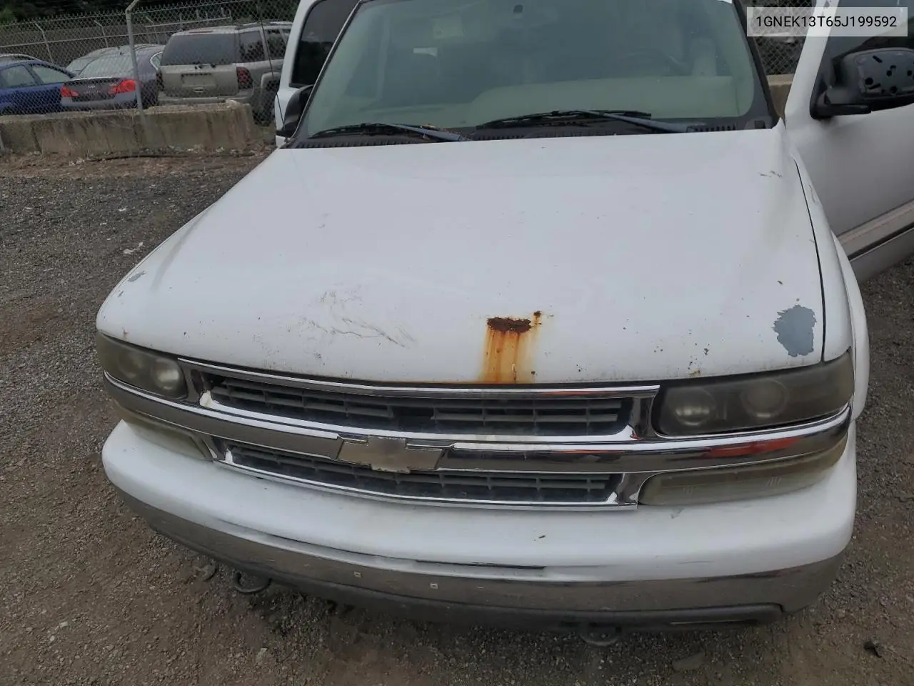 2005 Chevrolet Tahoe K1500 VIN: 1GNEK13T65J199592 Lot: 62667705