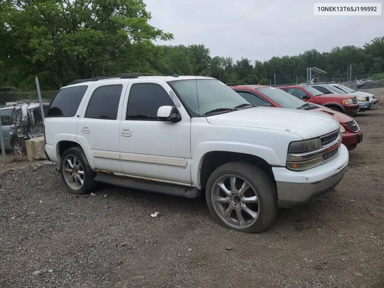 2005 Chevrolet Tahoe K1500 VIN: 1GNEK13T65J199592 Lot: 62667705