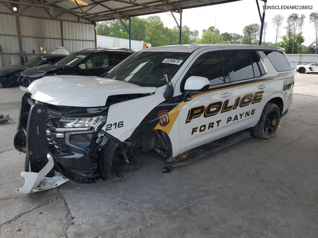 2022 Chevrolet Tahoe C1500 VIN: 1GNSCLED6NR228852 Lot: 53288675