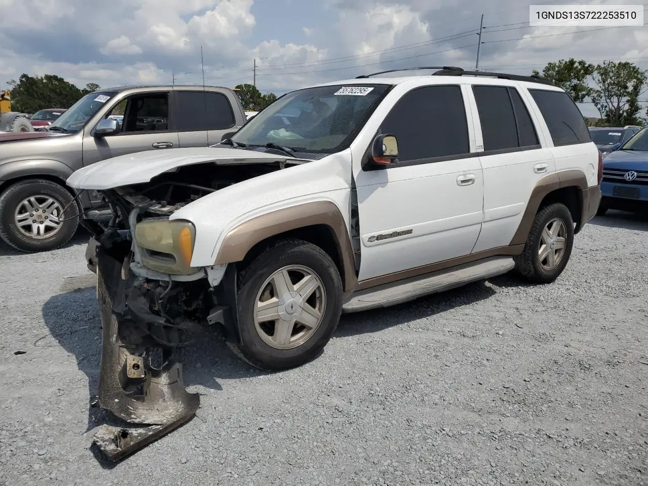 2002 Chevrolet Trailblazer VIN: 1GNDS13S722253510 Lot: 55762295