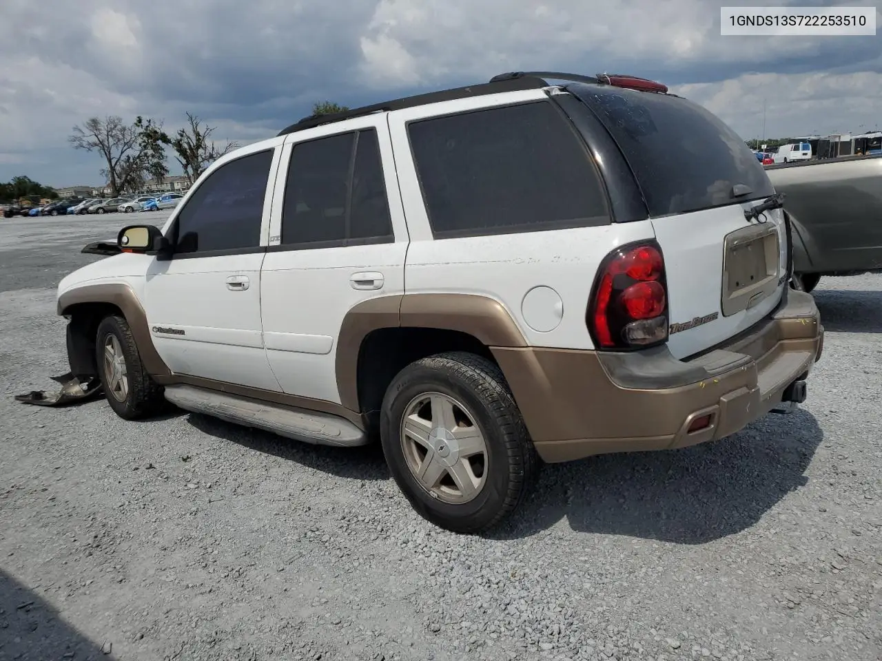 2002 Chevrolet Trailblazer VIN: 1GNDS13S722253510 Lot: 55762295