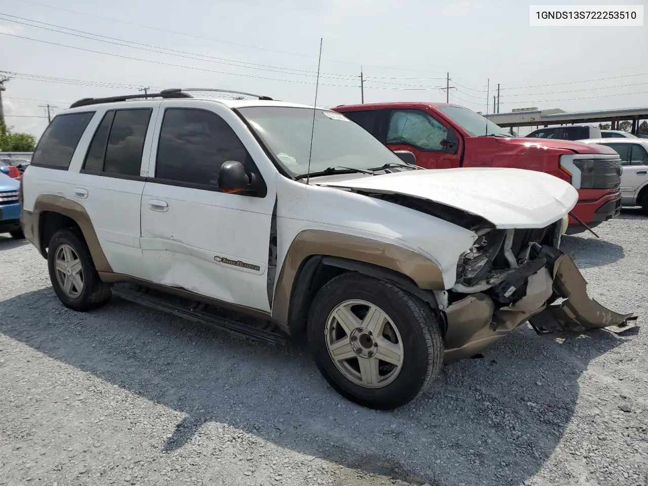2002 Chevrolet Trailblazer VIN: 1GNDS13S722253510 Lot: 55762295
