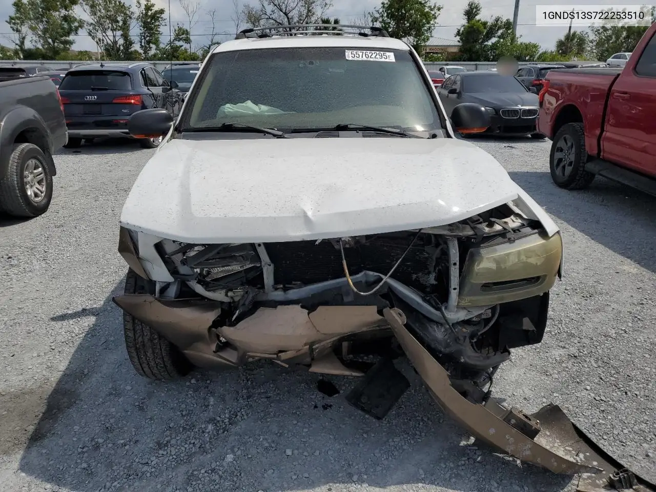 2002 Chevrolet Trailblazer VIN: 1GNDS13S722253510 Lot: 55762295