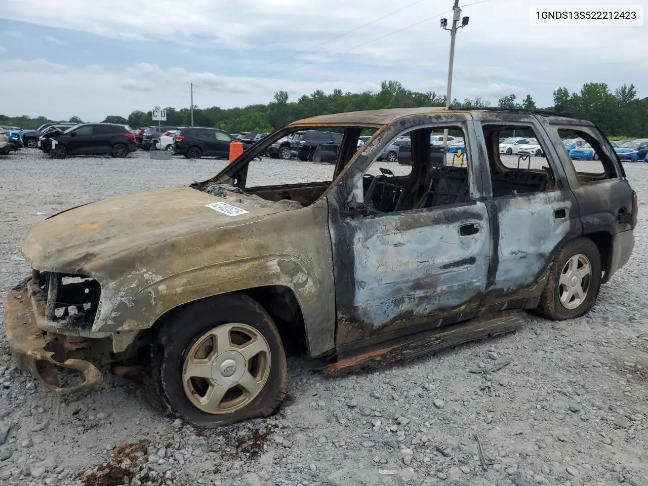 2002 Chevrolet Trailblazer VIN: 1GNDS13S522212423 Lot: 62482635
