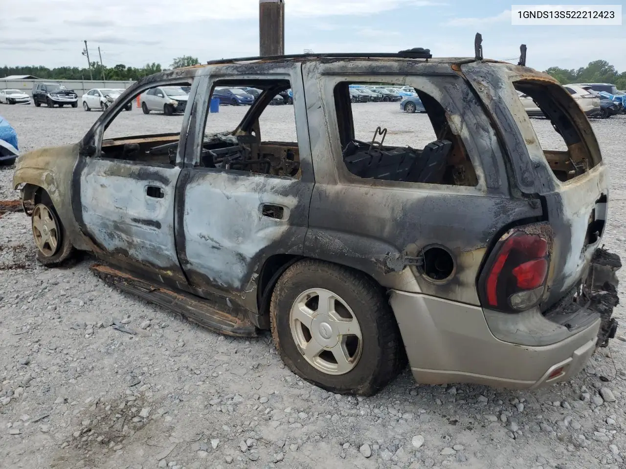 2002 Chevrolet Trailblazer VIN: 1GNDS13S522212423 Lot: 62482635