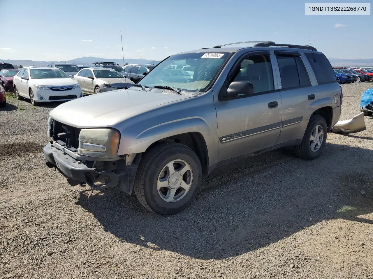2002 Chevrolet Trailblazer VIN: 1GNDT13S222268770 Lot: 65316065