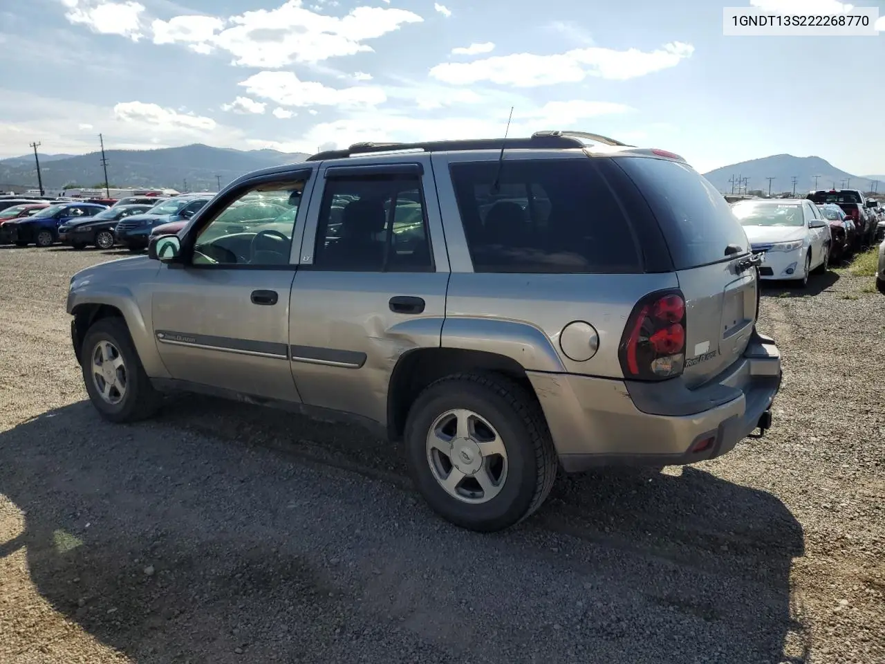 2002 Chevrolet Trailblazer VIN: 1GNDT13S222268770 Lot: 65316065