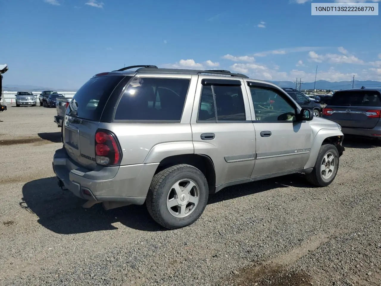 2002 Chevrolet Trailblazer VIN: 1GNDT13S222268770 Lot: 65316065