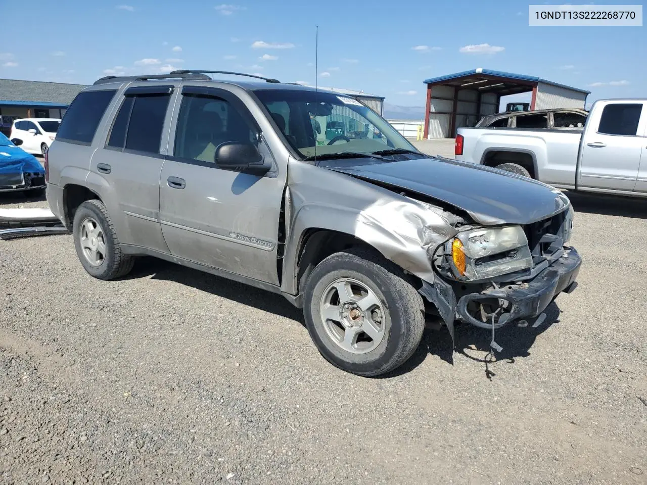 2002 Chevrolet Trailblazer VIN: 1GNDT13S222268770 Lot: 65316065