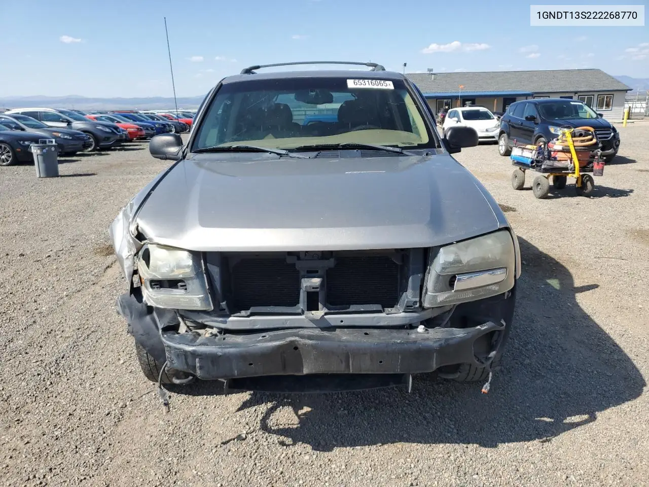 2002 Chevrolet Trailblazer VIN: 1GNDT13S222268770 Lot: 65316065