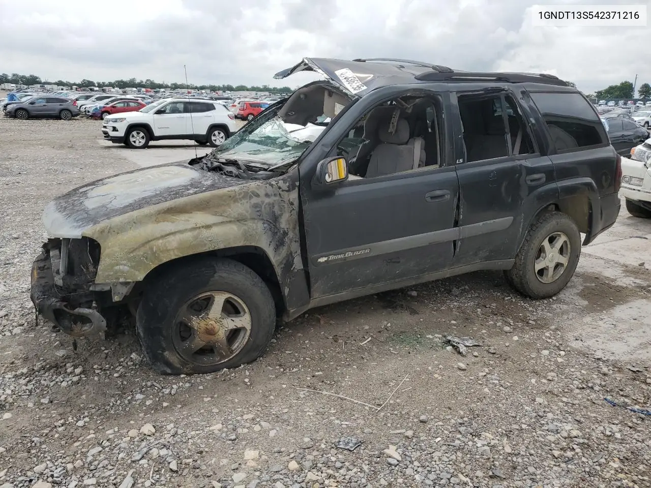 2004 Chevrolet Trailblazer Ls VIN: 1GNDT13S542371216 Lot: 61036555