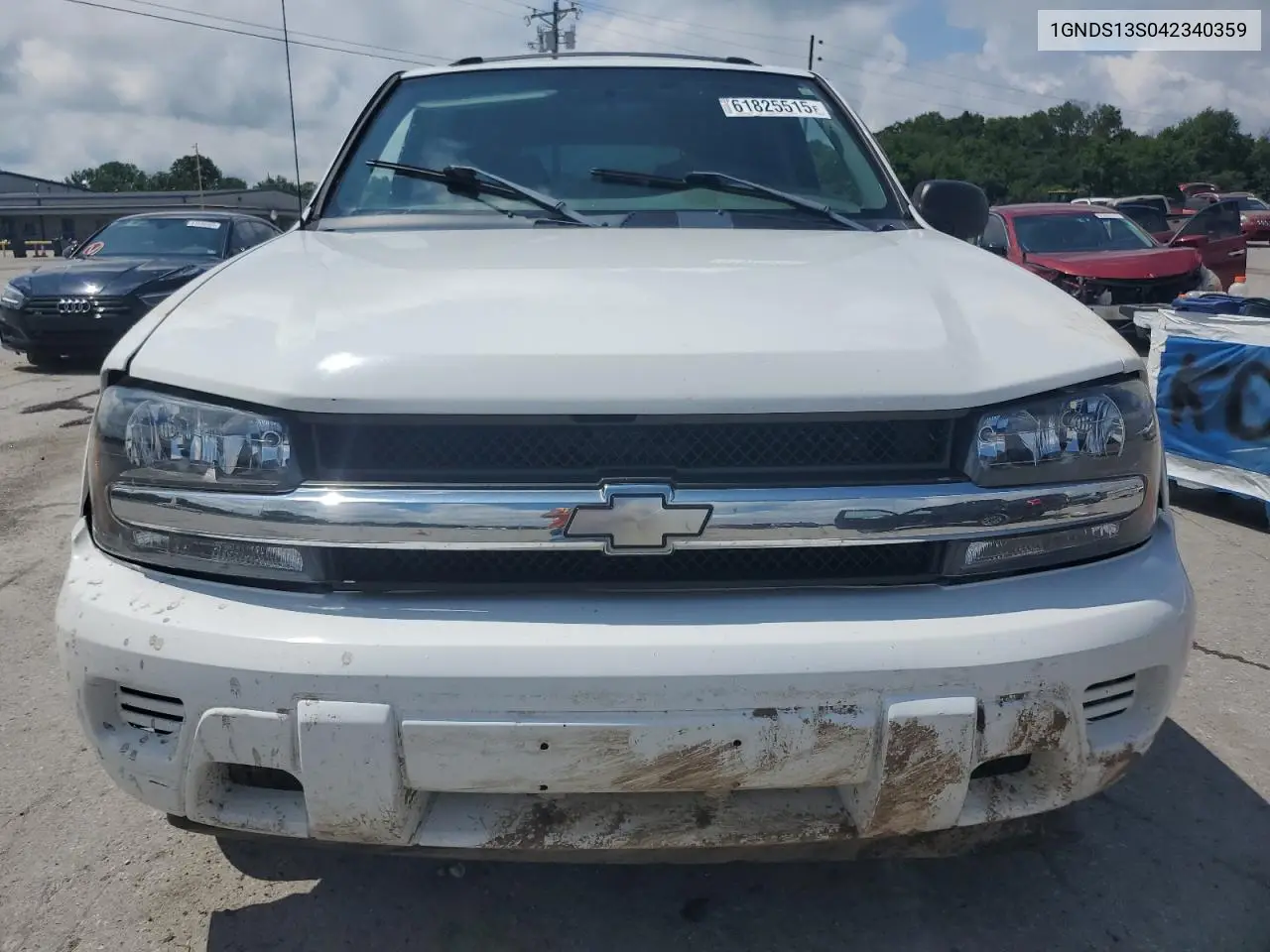 2004 Chevrolet Trailblazer Ls VIN: 1GNDS13S042340359 Lot: 61825515