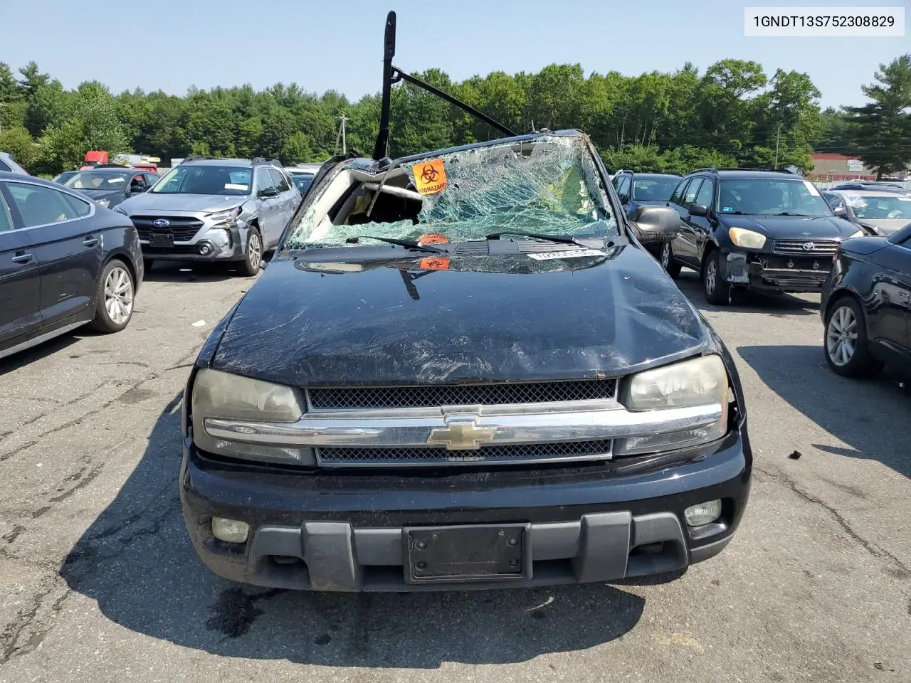 2005 Chevrolet Trailblazer Ls VIN: 1GNDT13S752308829 Lot: 62855105