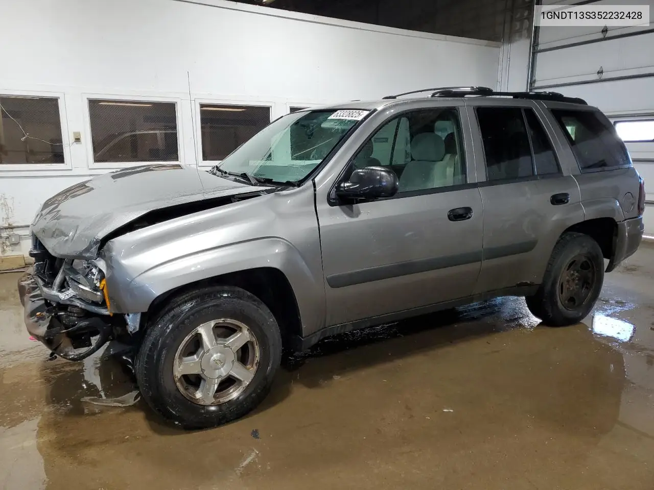 2005 Chevrolet Trailblazer Ls VIN: 1GNDT13S352232428 Lot: 63328825