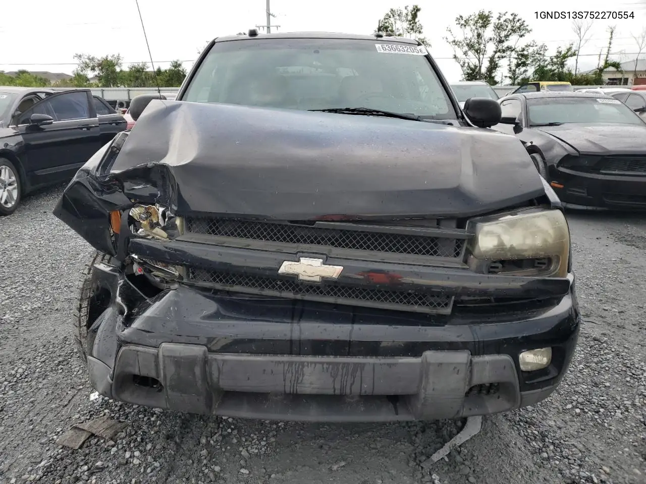 2005 Chevrolet Trailblazer Ls VIN: 1GNDS13S752270554 Lot: 63663205