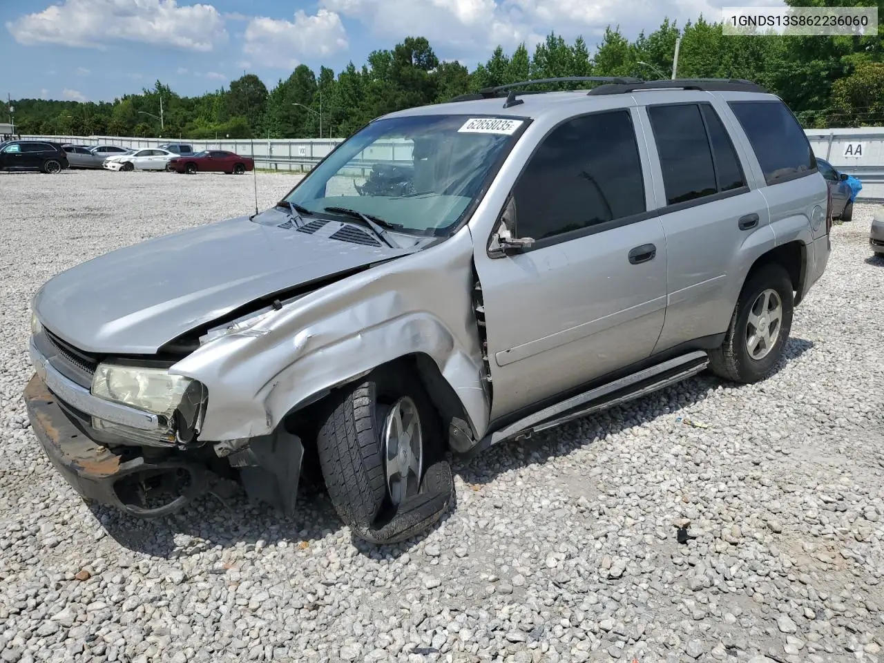 2006 Chevrolet Trailblazer Ls VIN: 1GNDS13S862236060 Lot: 62858035