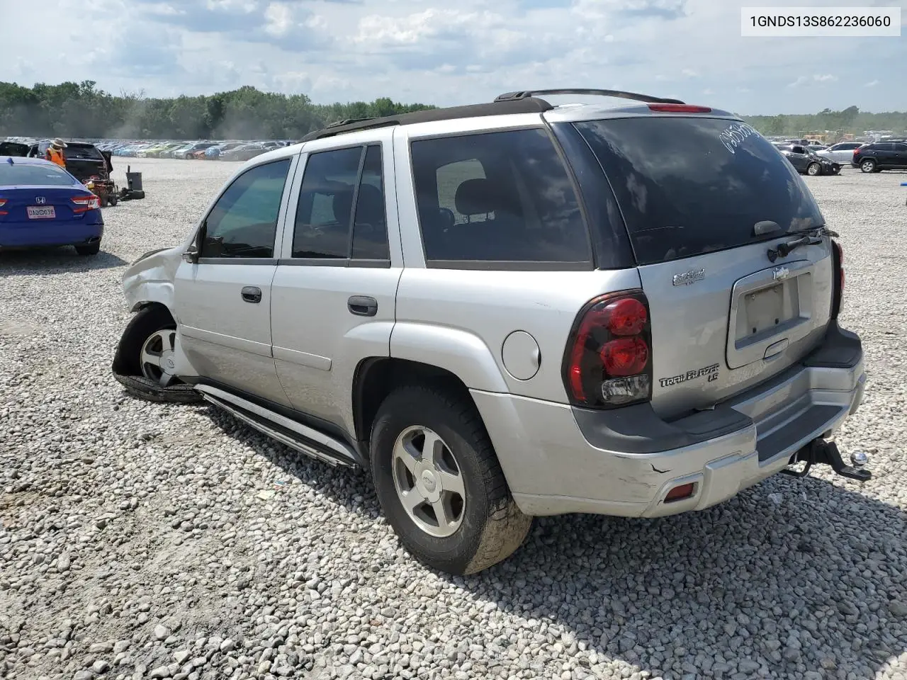 2006 Chevrolet Trailblazer Ls VIN: 1GNDS13S862236060 Lot: 62858035