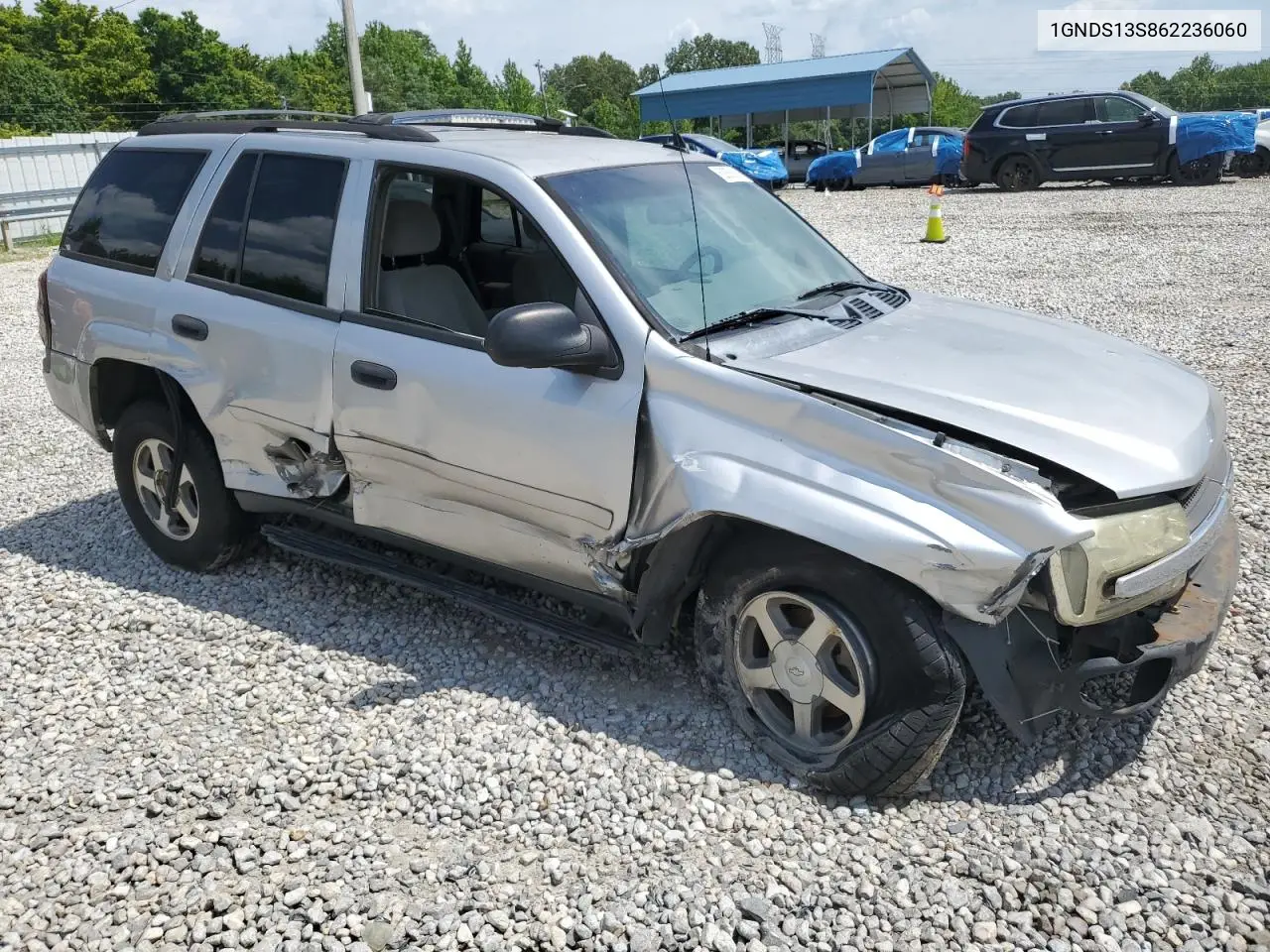 2006 Chevrolet Trailblazer Ls VIN: 1GNDS13S862236060 Lot: 62858035