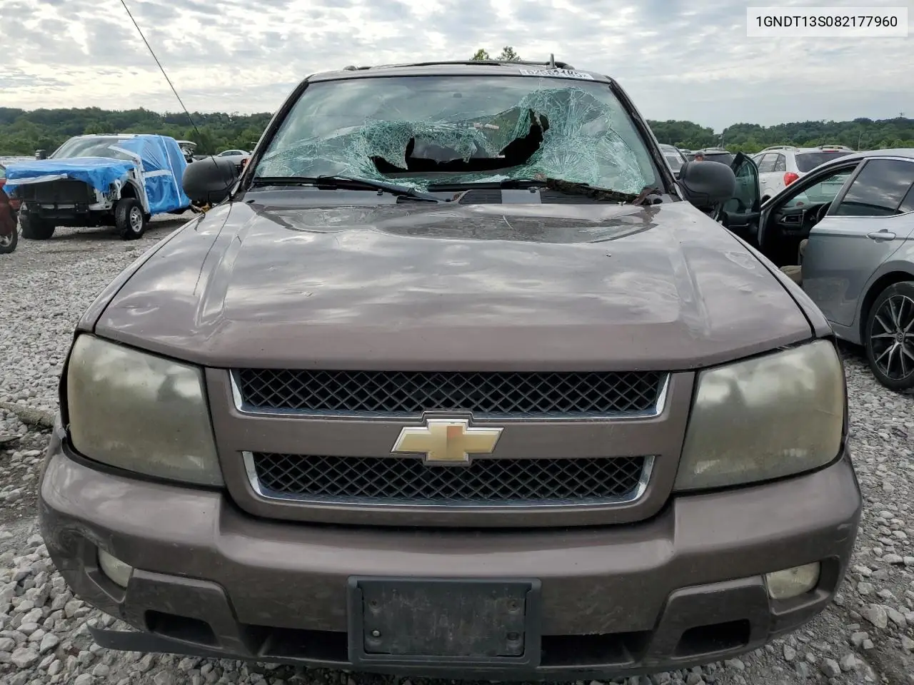 2008 Chevrolet Trailblazer Ls VIN: 1GNDT13S082177960 Lot: 62562185