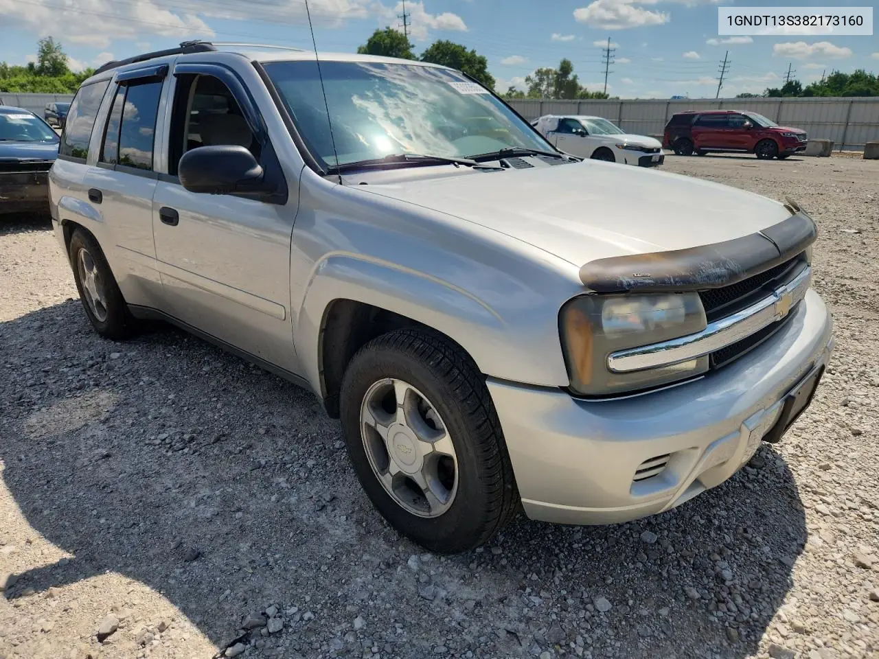 2008 Chevrolet Trailblazer Ls VIN: 1GNDT13S382173160 Lot: 63083505