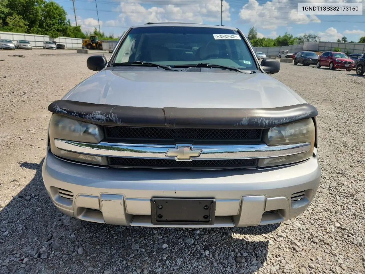 2008 Chevrolet Trailblazer Ls VIN: 1GNDT13S382173160 Lot: 63083505