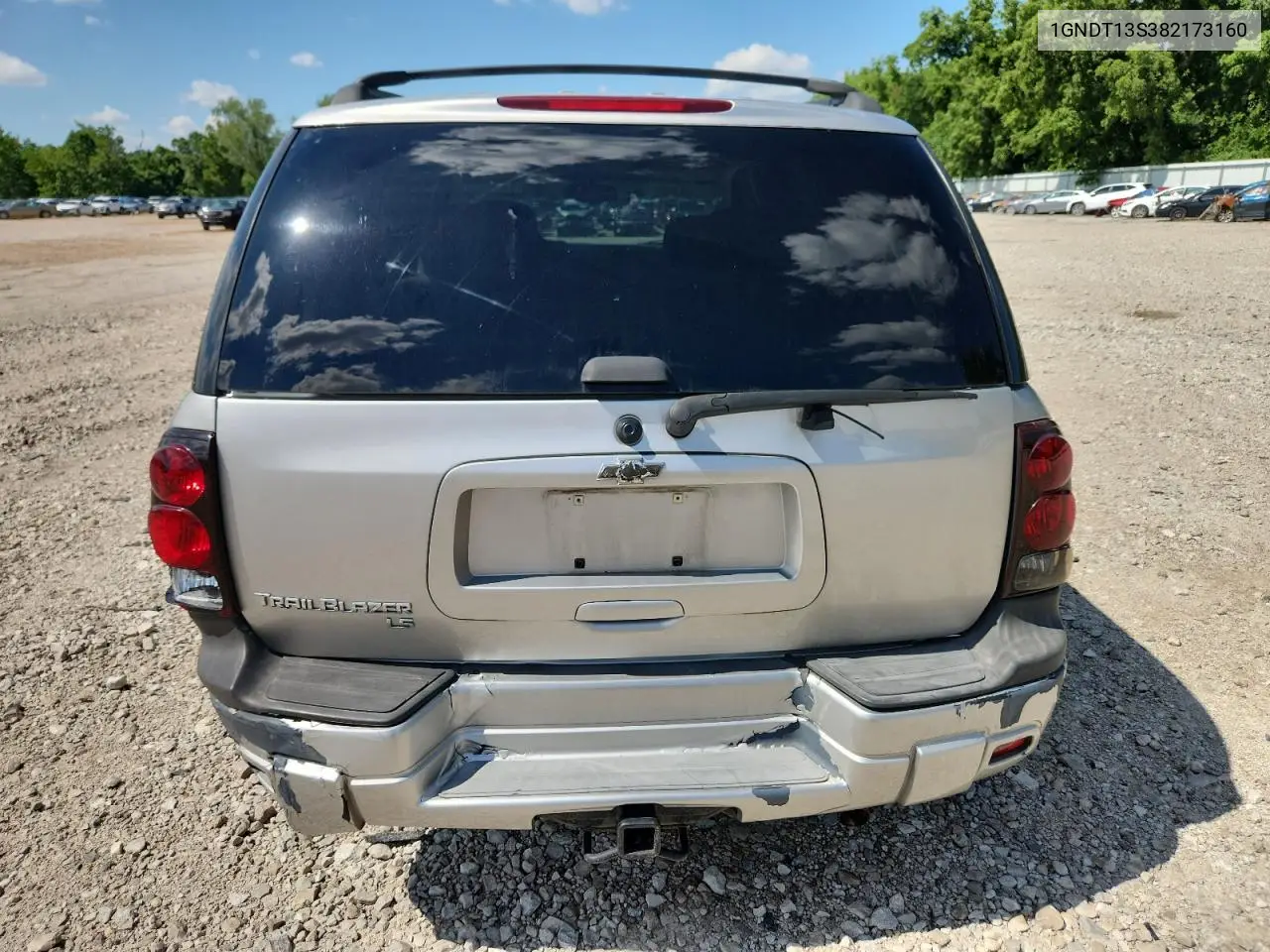 2008 Chevrolet Trailblazer Ls VIN: 1GNDT13S382173160 Lot: 63083505