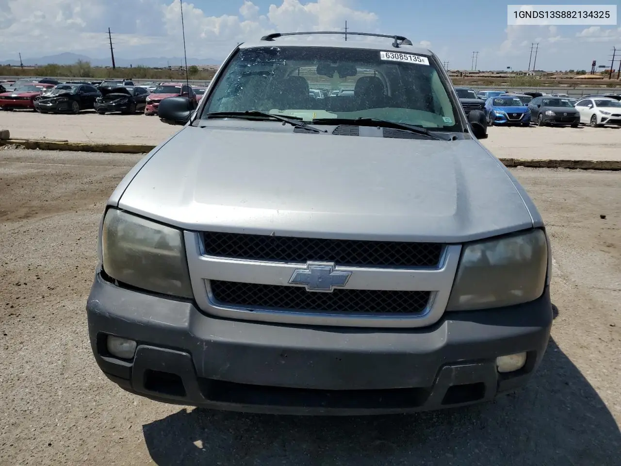 2008 Chevrolet Trailblazer Ls VIN: 1GNDS13S882134325 Lot: 63085135