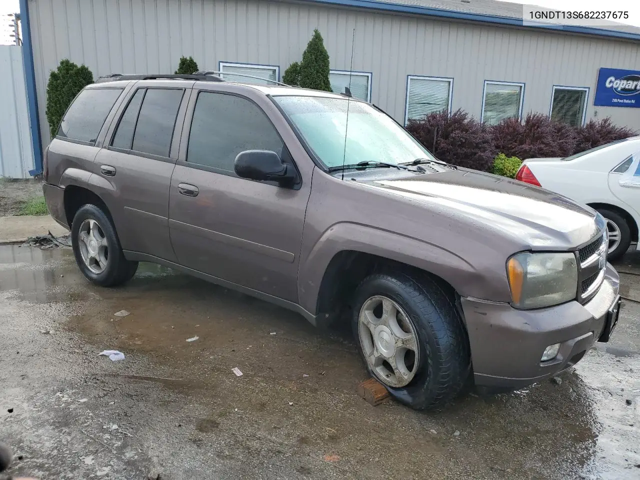 2008 Chevrolet Trailblazer Ls VIN: 1GNDT13S682237675 Lot: 65417405