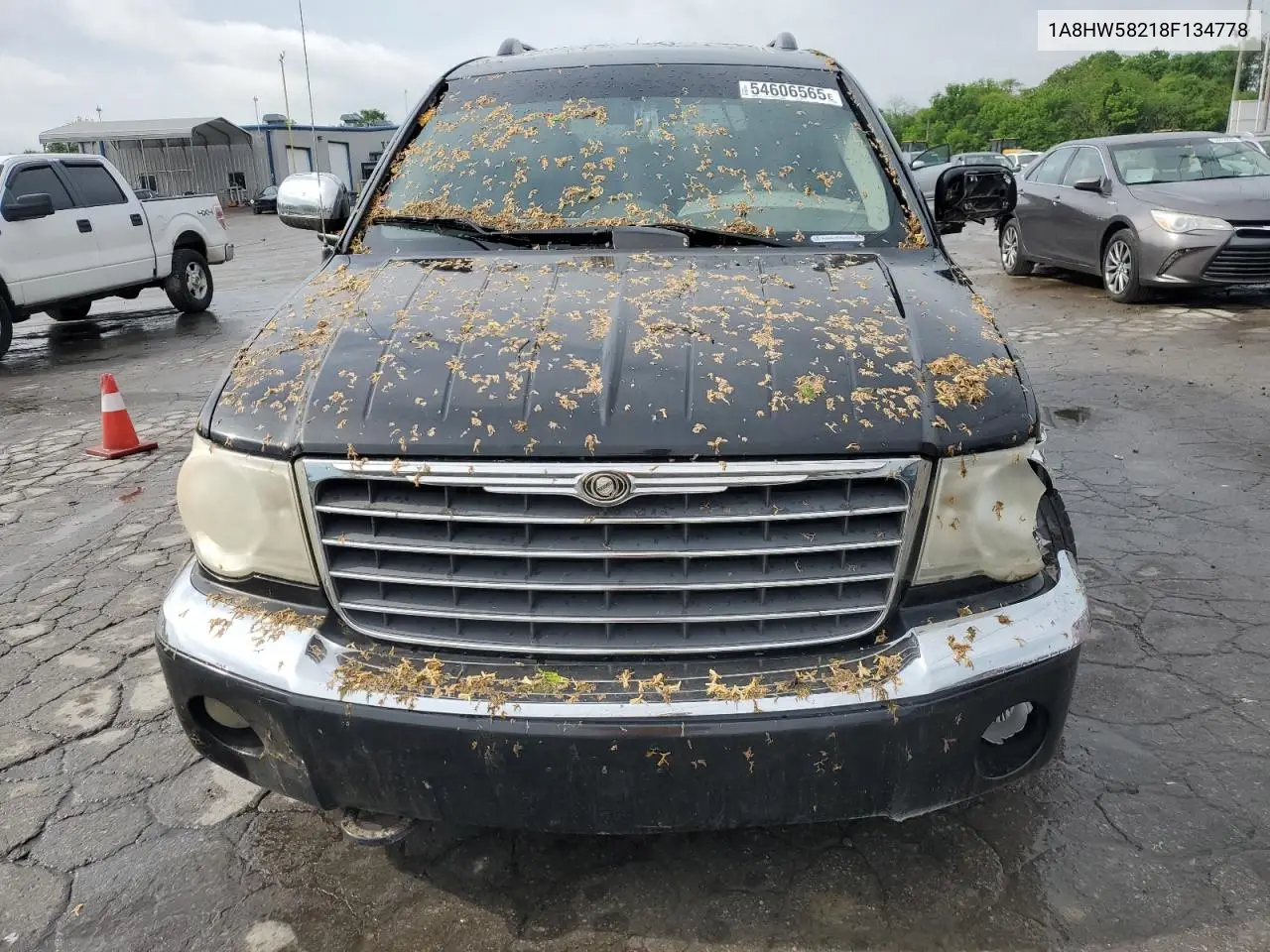 2008 Chrysler Aspen Limited VIN: 1A8HW58218F134778 Lot: 54606565