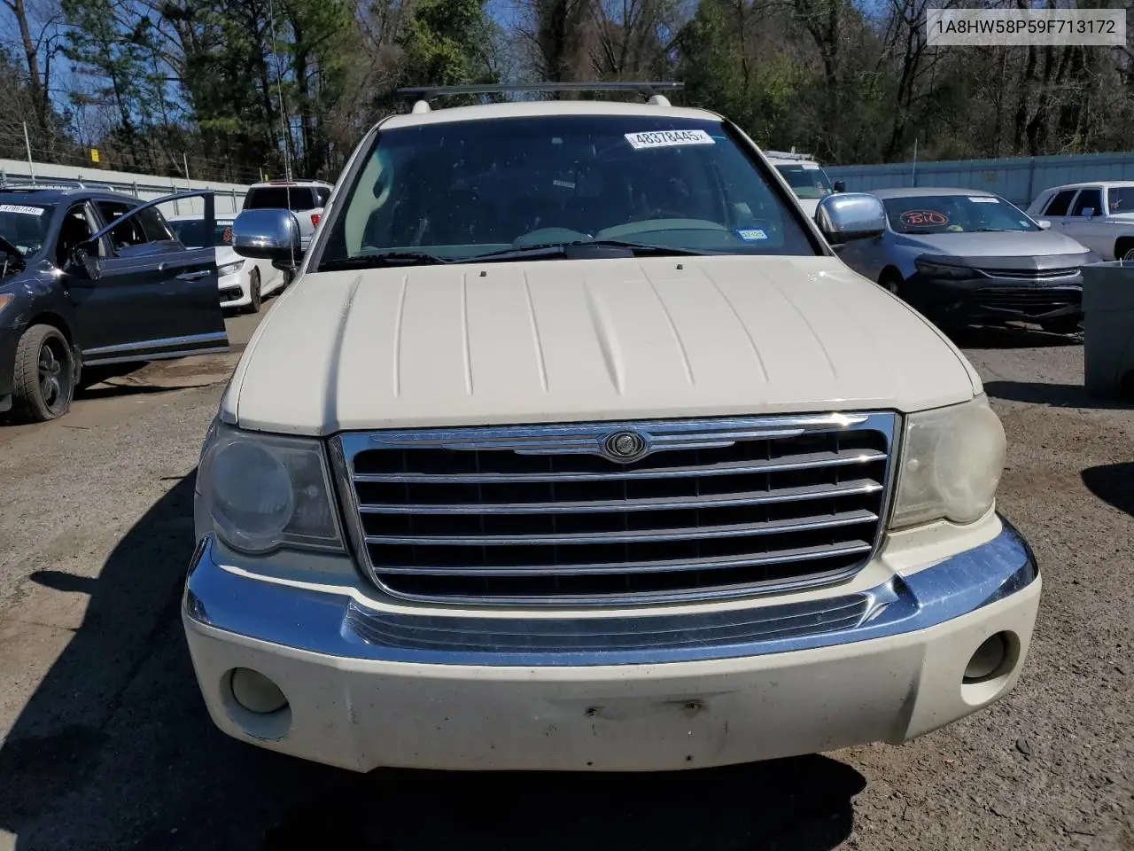 2009 Chrysler Aspen Limited VIN: 1A8HW58P59F713172 Lot: 48378445