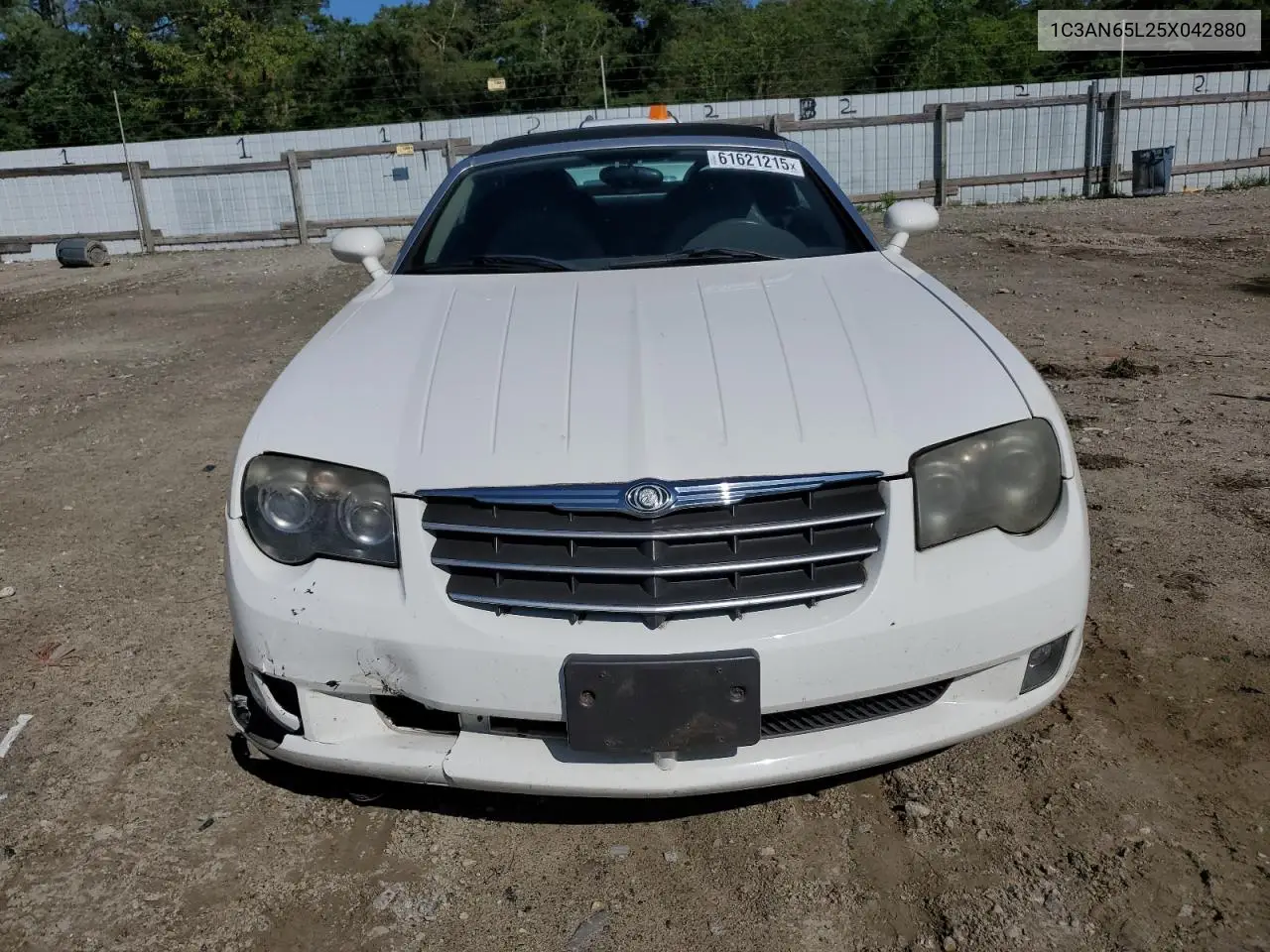 2005 Chrysler Crossfire Limited VIN: 1C3AN65L25X042880 Lot: 61621215