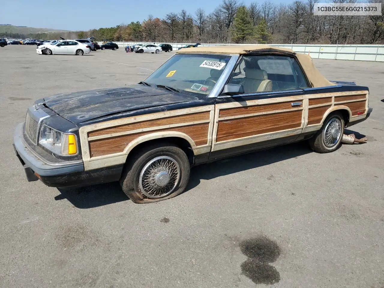 1986 Chrysler Lebaron VIN: 1C3BC55E6GG215373 Lot: 54530915