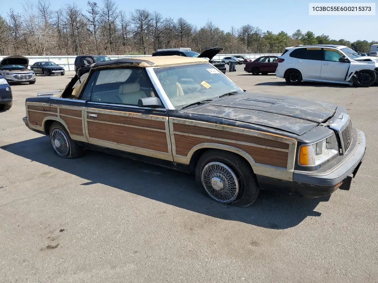 1986 Chrysler Lebaron VIN: 1C3BC55E6GG215373 Lot: 54530915