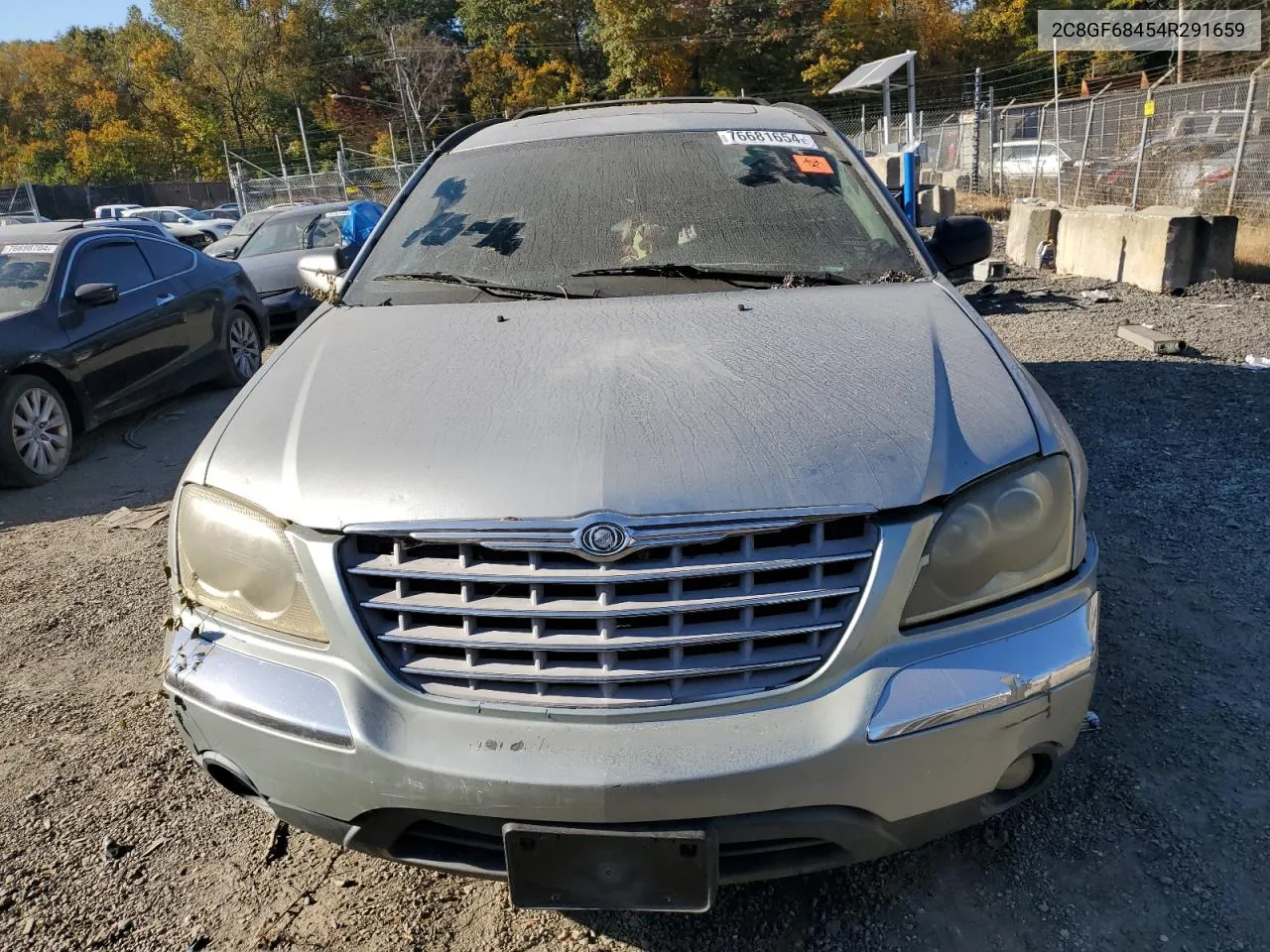 2004 Chrysler Pacifica VIN: 2C8GF68454R291659 Lot: 76681654