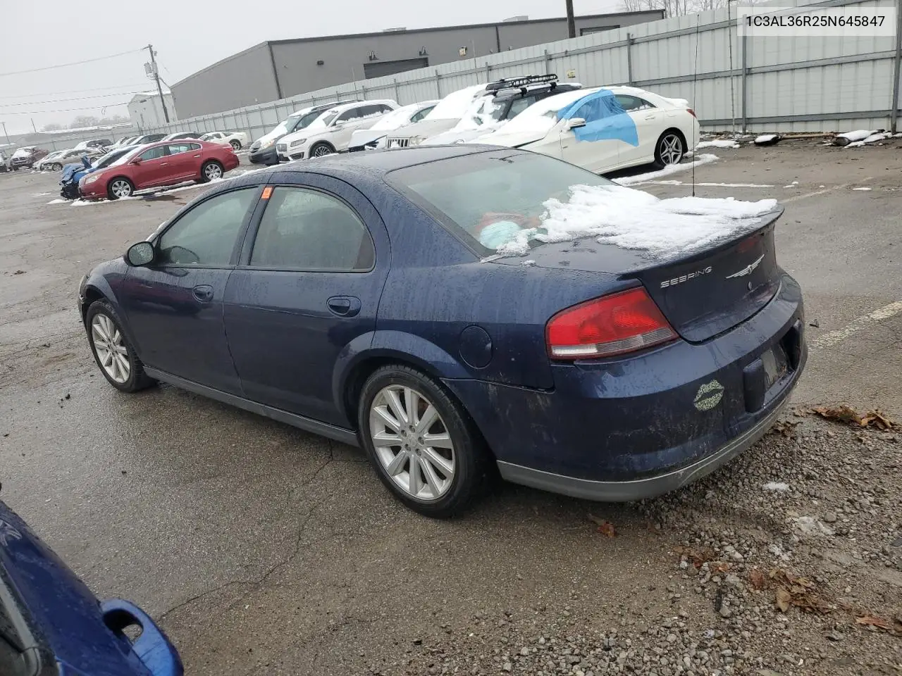 2005 Chrysler Sebring Special VIN: 1C3AL36R25N645847 Lot: 44513105