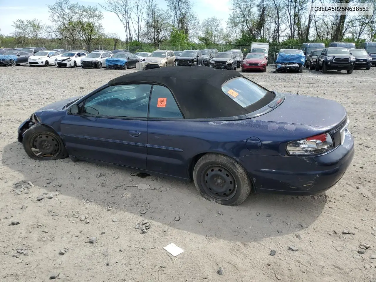 2005 Chrysler Sebring VIN: 1C3EL45R25N638552 Lot: 53833645