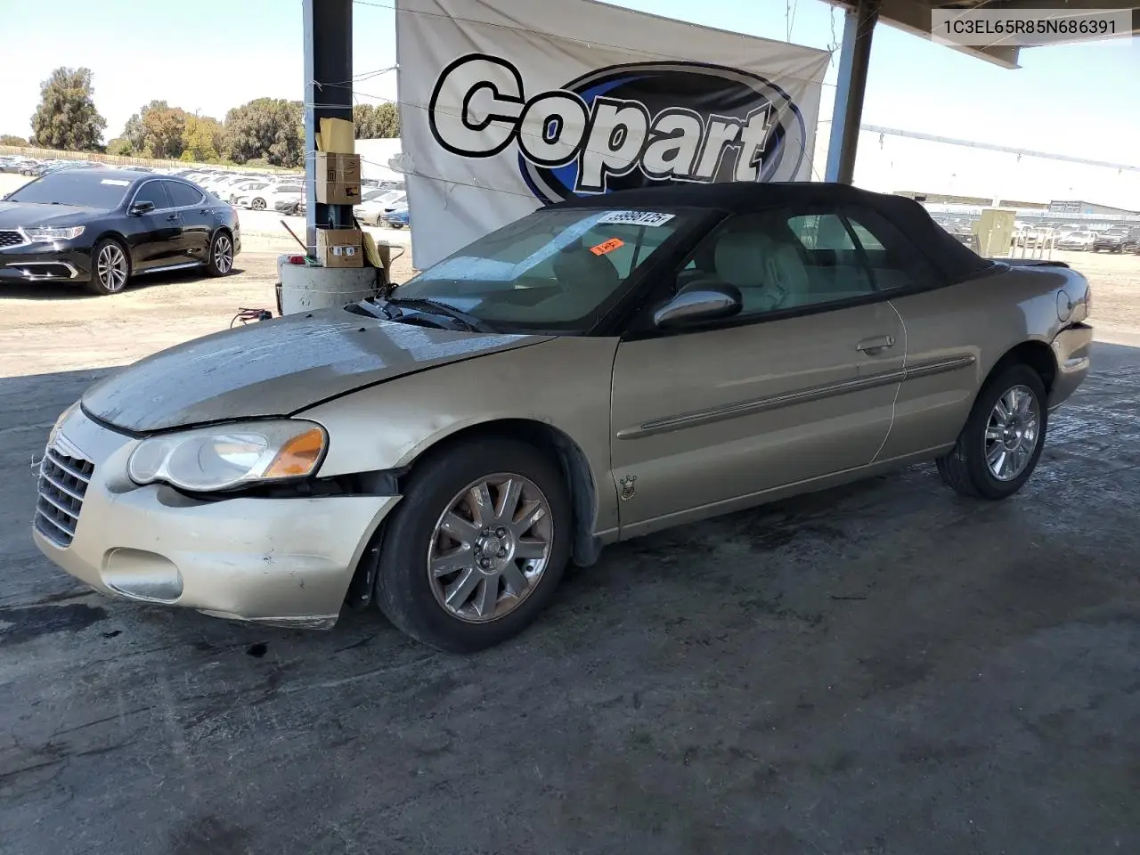 2005 Chrysler Sebring Limited VIN: 1C3EL65R85N686391 Lot: 59998125