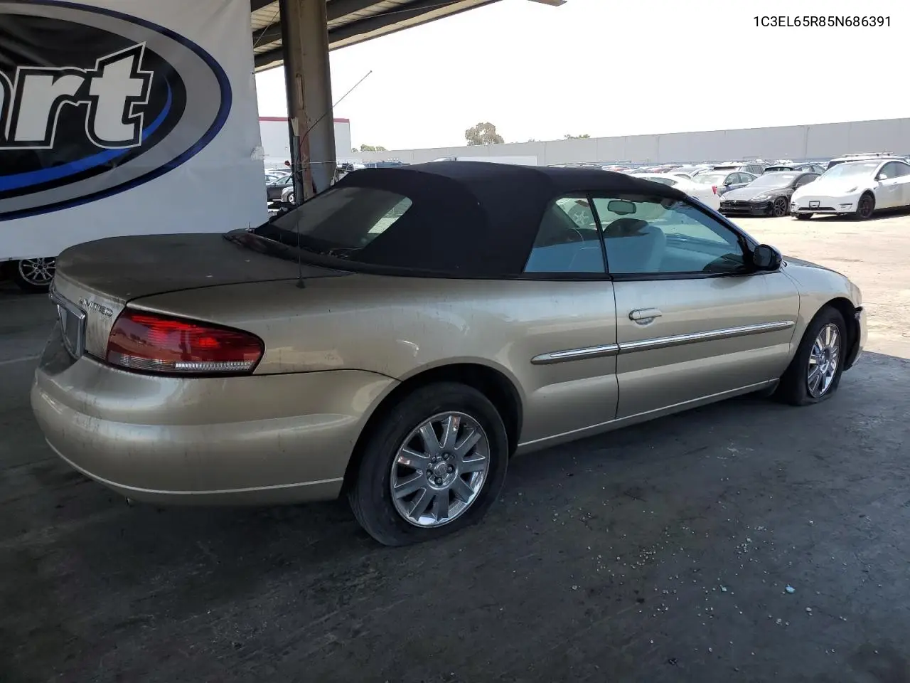 2005 Chrysler Sebring Limited VIN: 1C3EL65R85N686391 Lot: 59998125