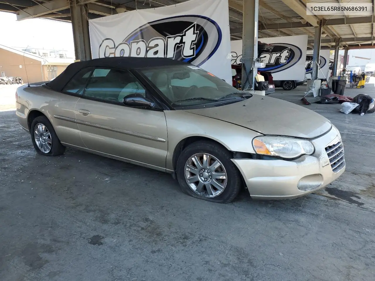 2005 Chrysler Sebring Limited VIN: 1C3EL65R85N686391 Lot: 59998125