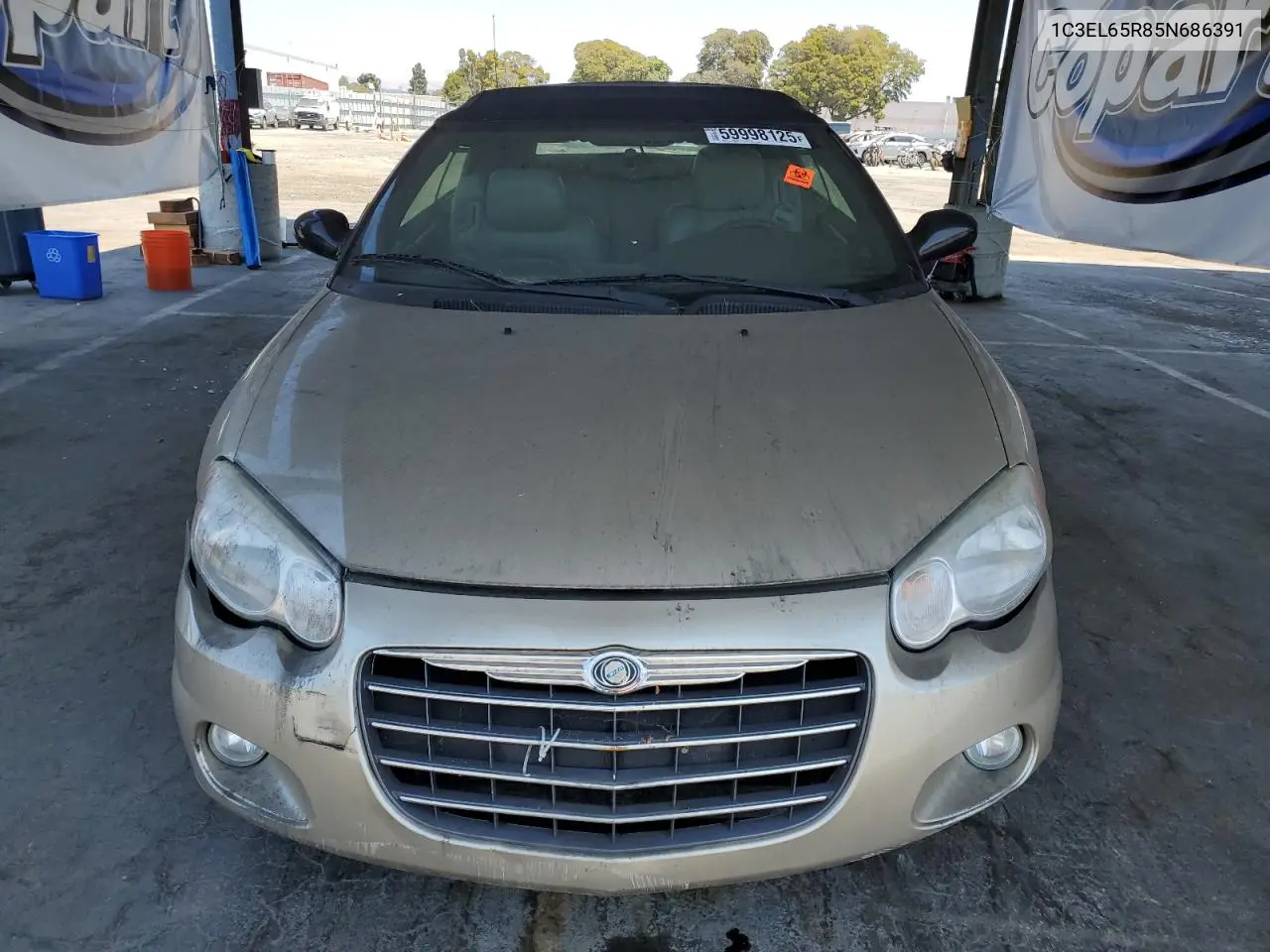 2005 Chrysler Sebring Limited VIN: 1C3EL65R85N686391 Lot: 59998125