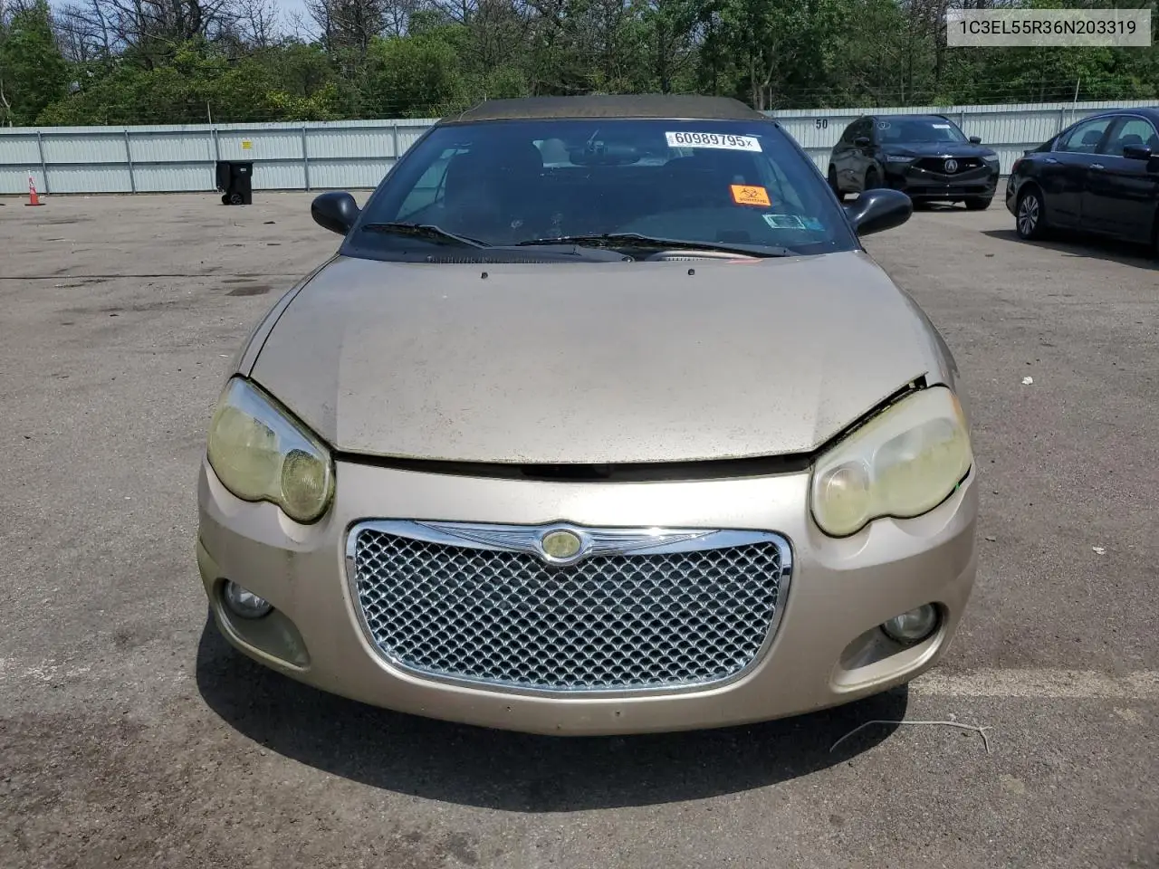 2006 Chrysler Sebring Touring VIN: 1C3EL55R36N203319 Lot: 60989795
