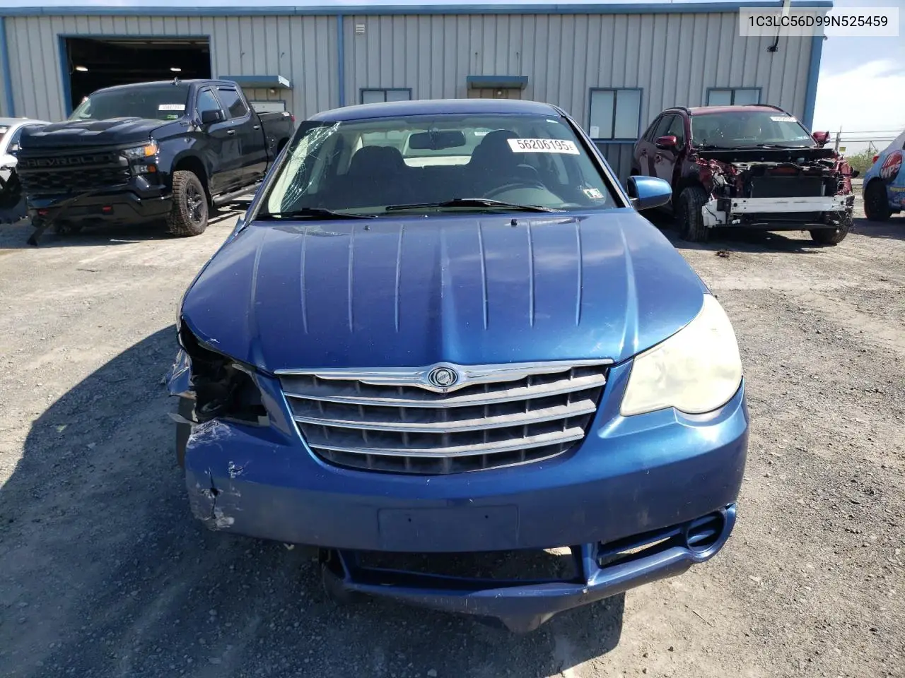 2009 Chrysler Sebring Touring VIN: 1C3LC56D99N525459 Lot: 56206195