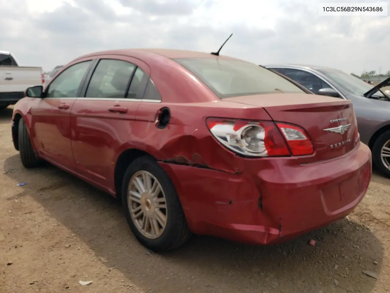 2009 Chrysler Sebring Touring VIN: 1C3LC56B29N543686 Lot: 56797355