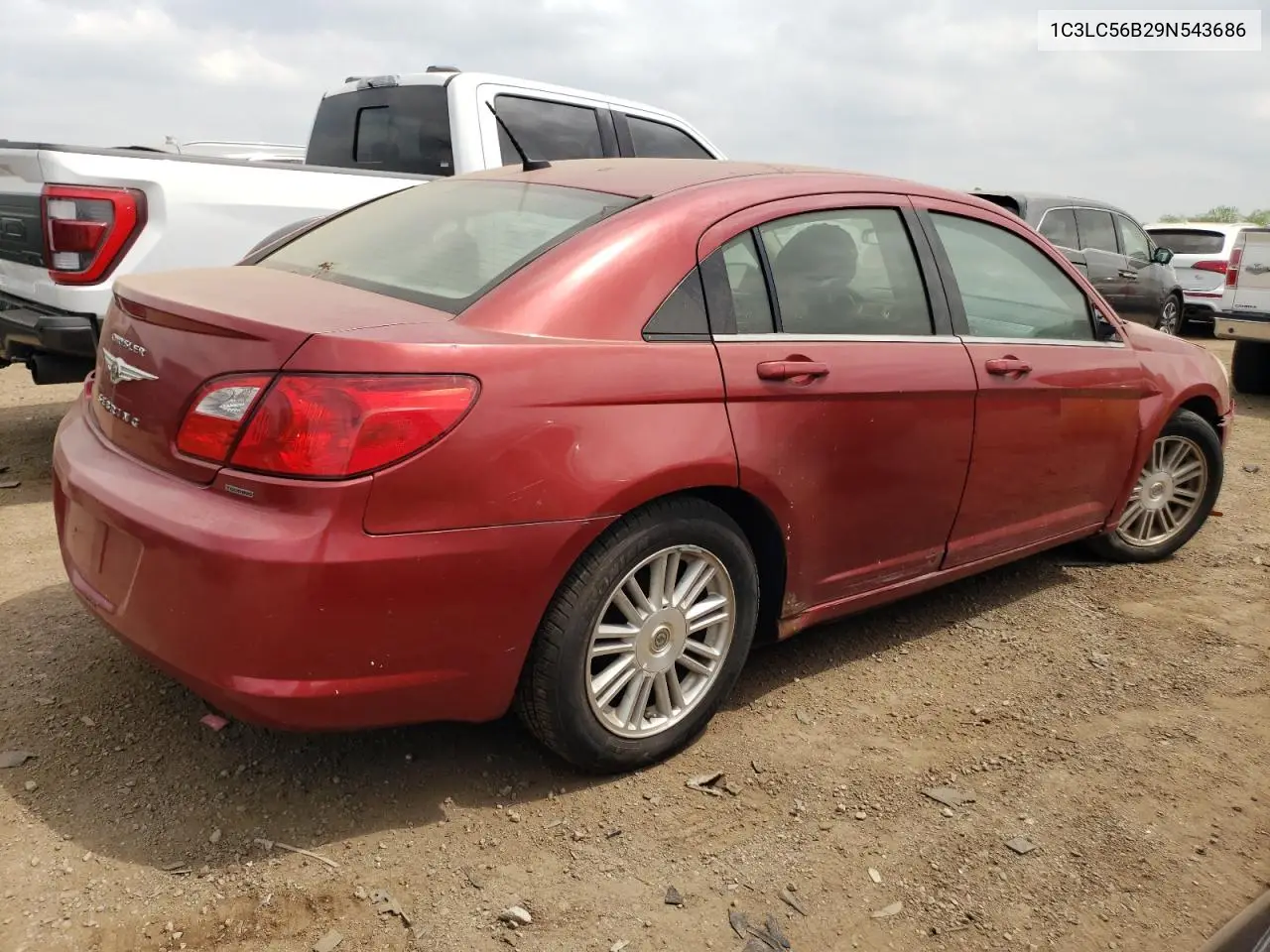 2009 Chrysler Sebring Touring VIN: 1C3LC56B29N543686 Lot: 56797355