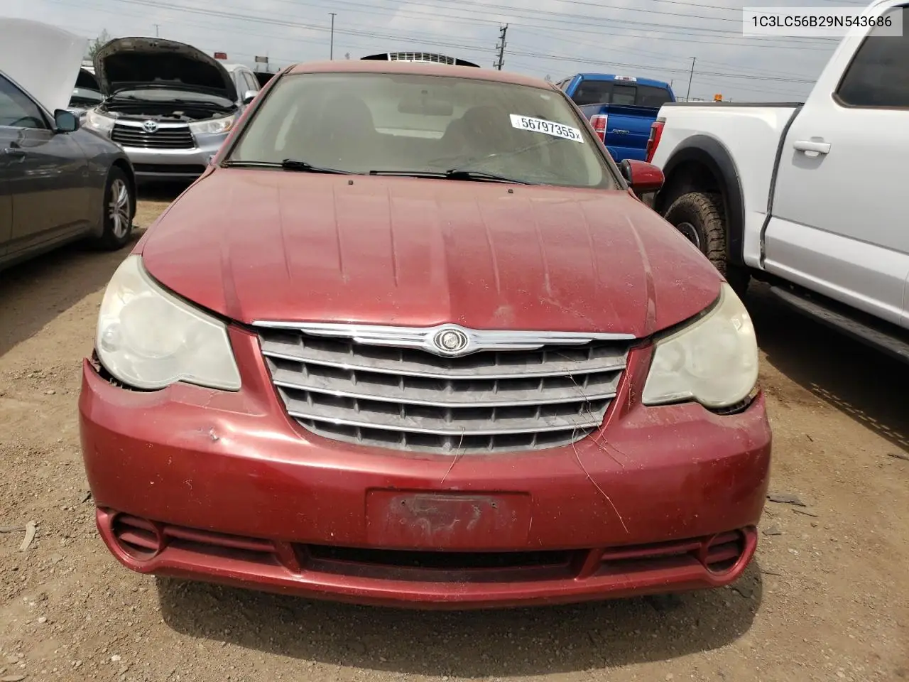2009 Chrysler Sebring Touring VIN: 1C3LC56B29N543686 Lot: 56797355