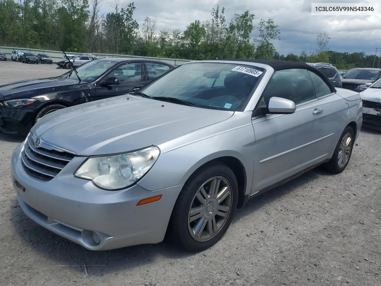 2009 Chrysler Sebring Limited VIN: 1C3LC65V99N543346 Lot: 61710905
