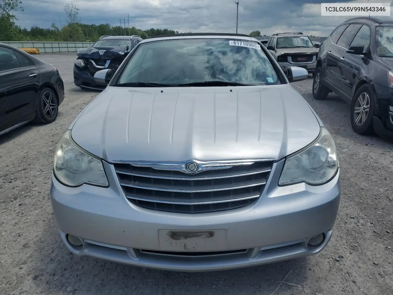 2009 Chrysler Sebring Limited VIN: 1C3LC65V99N543346 Lot: 61710905