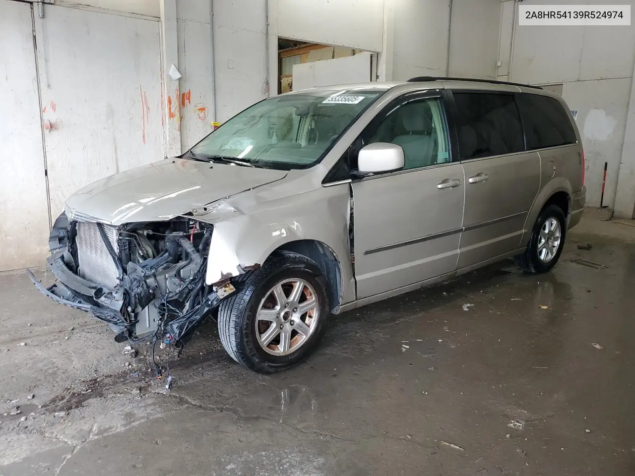 2009 Chrysler Town & Country Touring VIN: 2A8HR54139R524974 Lot: 55335605