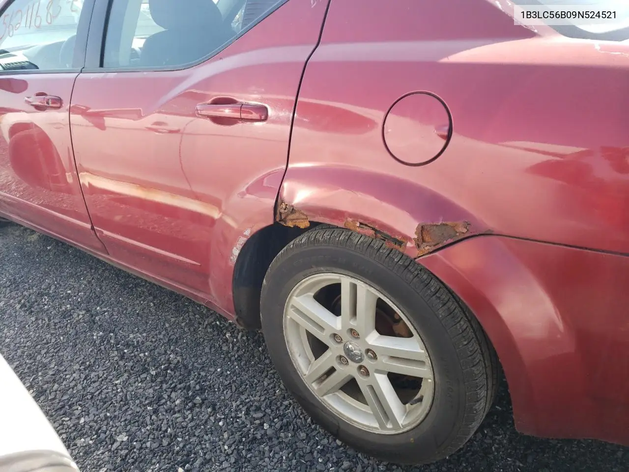 2009 Dodge Avenger Sxt VIN: 1B3LC56B09N524521 Lot: 56211685
