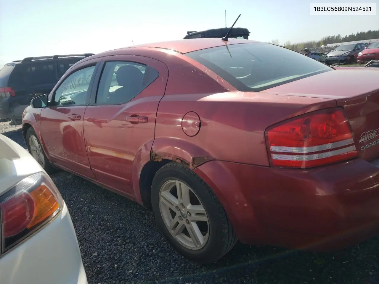 2009 Dodge Avenger Sxt VIN: 1B3LC56B09N524521 Lot: 56211685